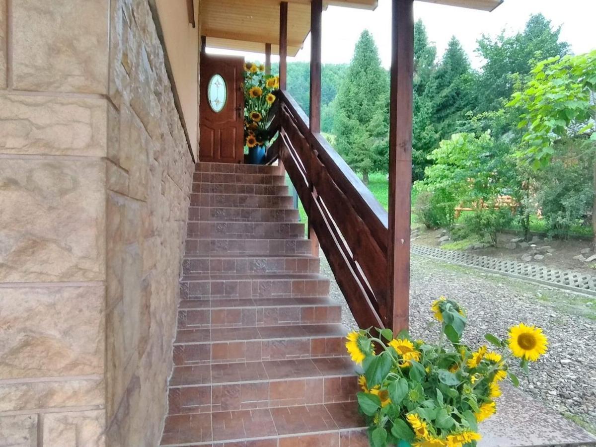 Noclegi Pod Lasem Solina 20 Extérieur photo
