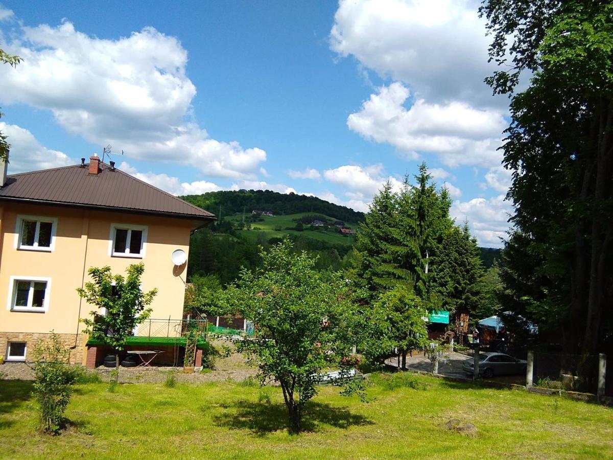 Noclegi Pod Lasem Solina 20 Extérieur photo