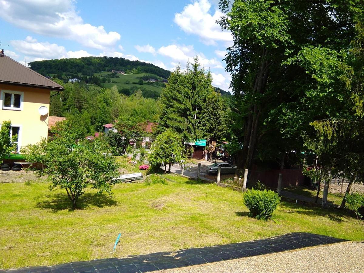 Noclegi Pod Lasem Solina 20 Extérieur photo